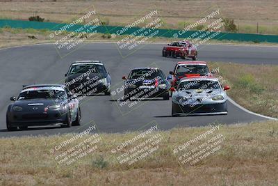 media/May-04-2024-Lucky Dog Racing (Sat) [[d39539b3f3]]/Race Pics/1015am (Turn 2)/